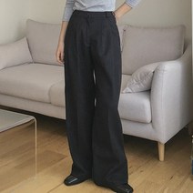 쉐얼유 여성 토리 겨울 투핀턱 뒷밴딩 와이드 슬랙스