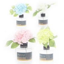 레이나퍼퓸 스노우수국 블랙 플라워디퓨저 120ml, 블루/망고