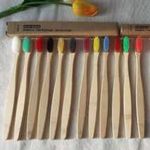 크레오 대나무칫솔 어른용 12컬러 1SET 미세모, 어른용 미세모 일반모 혼합 1SET