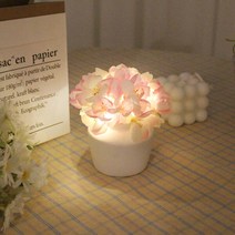 아트박스/비아케이스튜디오 핑크 릴리 LED 무드등