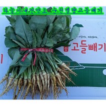참농인고들빼기10단(하늘이내린약초), 1box, 350g, 10단