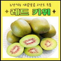 농장직송 제주 레드키위 고당고 특품 새콤달콤 2키로 3키로 5키로 제철과일, 중대_70과전후(5kg)