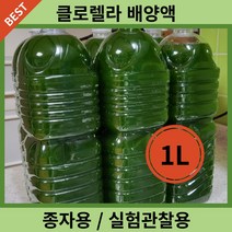 클로렐라 배양액 1L 종균 배양종자용 실험관찰용 생클로렐라, 2개, 없음