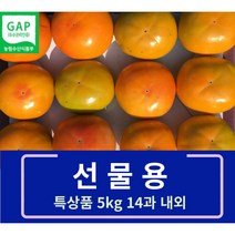 선물용 특상품 창녕 화왕산 단감 5kg(14과내외)