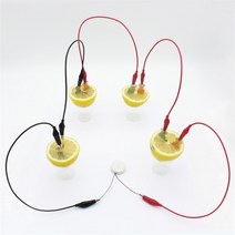 [유앤아이사이언스] 과일전지세트(멜로디버저), 멜로디버저