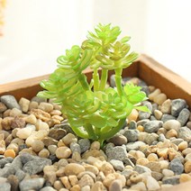 (주)아트인 인조 다육이(M05-그린), 1개