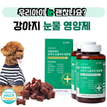 강아지 루테인 눈물 자국 영양제 펫생각 데이터케얼 리얼 반려견 루테인, 반려견 눈 영양제 2개