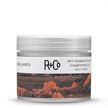 R+Co Badlands Dry Shampoo Paste Basic Lemon 알플러스코 배드랜드 드라이 샴푸 페이스트 2.2oz, One Size_-, One Size_-, 상세 설명 참조0