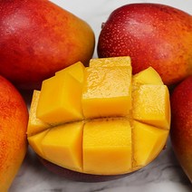 과일 제주애플망고 망고선물세트 애플망고 2kg, 제주 애플망고 중과 2kg, 1개
