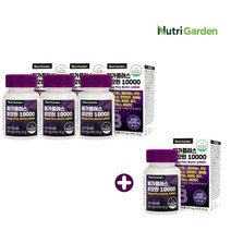 흰머리 새치 두피 얇은 모발 풍성한 굵어지는 머리숱 갈라진 머리카락 건강 관리 에 좋은 먹는 비요틴 비오틴 영양제, [3+1] 8개월분