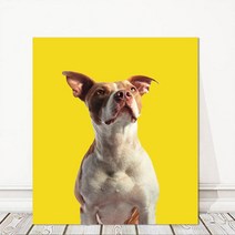 반려견초상화 강아지그림