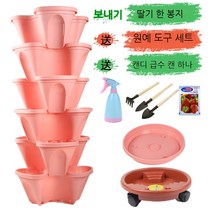 베란다 테라스 정원 실내 식물 딸기 수직 화분 키우기, 핑크 6개 물받이+일반 트레이+범용트레이