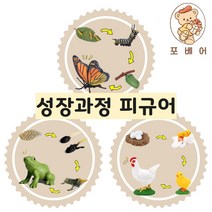 (당일발송)포베어 어린이 교육 장난감 성장과정 13종 유치원 어린이집 학습 유아 교구 놀이 모형, 성장피규어 13종 풀세트) -20% 특별할인가