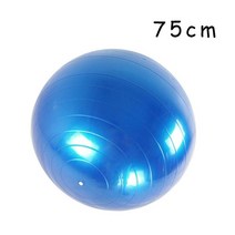 짐볼 보수볼 토닝볼 하프 토구 땅콩 2mm 강한 pvc 피트니스 공 요가 공 농축 운동 홈 체육관 필라테스 장비 균형 풍선 45cm55cm65cm75cm85cm, 75cm 블루
