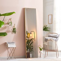 에이스홈 크리스탈 415 전신거울, 골드 / MA112_GLD, 벽걸이형