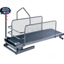 강아지용러닝머신 트레드밀 장비 강아지 운동 실내, 1. A타입