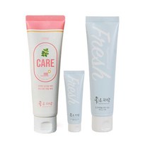 닥터초이스 케어/프레쉬 좋은 치약 천연 항암 구내염 구강건조증 임산부 입냄새 잇몸출혈, 좋은치약 프레쉬(구치케어)-하늘색