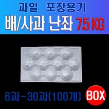 과일포장용 난좌 (배/사과), 16과