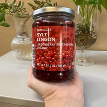 IKEA Sylt Lingon 이케아 링곤베리 잼 400g, 1개