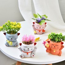 행운의 고양이 미니 화분 4종 세트, 3종 혼합(아이보리+하늘색+핑크)