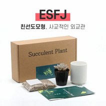 MBTI 다육이 키우기 키트 ESFJ, 다육이 선택:웅동자
