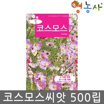 코스모스씨앗 500립 코스모스씨 코스모스 꽃씨앗 꽃씨, 코스모스중포장