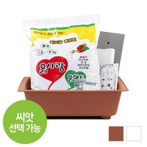 화분월드 가드닝 베란다 텃밭 채소키우기 행복화분 + 흙 7종세트, 브라운 텃밭세트