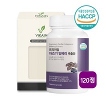 차즈기 추출물 루테올린 효능 국내산 자소엽 차조기 잎 차 분말 가루 눈건강 눈엔 유기농 빌베리 안토시아닌 눈피로감소 도움 haccp 120정