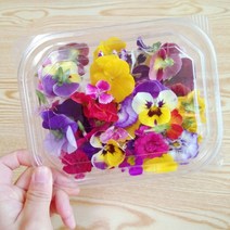 식용꽃 30송이 혼합, 합포장/포장용기 줄이고 꽃으로 더주세요!