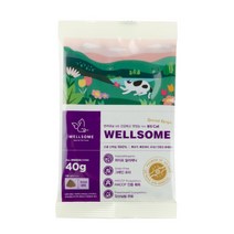 웰썸 동애등에 전연령용 그레인프리 고양이 인섹트 사료 40g 샘플 기호성 테스트