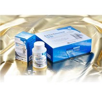 마그네슘효능 종근당 건강 칼슘 마그네슘 360정