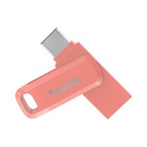 샌디스크 샌드디스크 고성능 USB 메모리 256GB 256기가 SDD 피치 C타입 3.1 알뜰 대용량