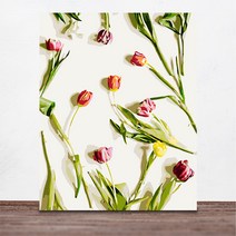 위메이크 페인팅 DIY 명화그리기 컬러풀 플라워 40x50