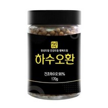 생생드림 하수오환, 170g, 2개