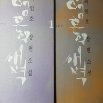 영혼의 새벽 전2권/최인호.문학과지성사.2002