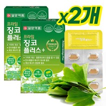 징코플러스 징코빌로바 은행잎추출물 기억력개선 기억력영양제 집중력영양제