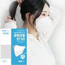한솔메디텍 미세먼지 황사 비말차단 새부리형 KFAD 마스크 화이트 대형, 100장 +10장