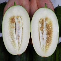 고령 당도높은 파파야메론 멜론 2kg 3kg 5kg, 파파야메론3k 5-9과, 1개