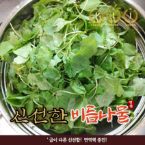 산지직송 국내산 싱싱한 비름나물 1kg 400g 1.4kg 봄나물 당일수확 생 비름 나물 신선한 비듬나물, 1개