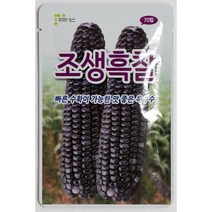 조생흑찰 옥수수씨앗 70립 빠른 수확이 가능한 맛좋은 옥수수 피피에스