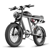 전기자전거 20인치 타이어 클래식 레트로 두 바퀴 전력 모토 ebike 더블 쇼크 1500w 모터, 48v750w