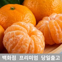 [특등급선별] 감귤 2.5kg 타이벡감귤 타이백감귤 제주귤 효돈감귤 불로초감귤 노지귤 제주도귤 금귤 노지감귤 조생귤 서귀포감귤 무농약귤 유기농귤 고당도귤 제주노지감귤 금귤정과, 1개