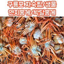 산지직송 당일조업 구룡포 연지홍게 박달홍게 자숙 생물 2kg 3kg 5kg, 고급형_연지홍게_자숙_5kg