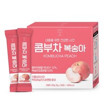 참앤들황토농원 데이앤 콤부차 복숭아 비타민C 유산균 분말 스틱 30포 X 1박스, 상세 설명 참조, 단일옵션