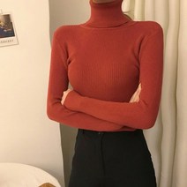 스팩트 아린 여성 니트 골지 목폴라 긴팔 티셔츠 15 color
