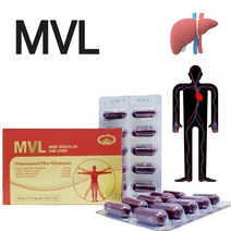 네이쳐스탑MVL 30캡슐 호주산옥타코사놀 폴리코사놀20