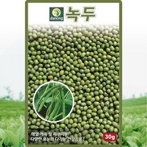 다농 녹두 씨앗 녹두 콩 씨 종자 30g, 단품