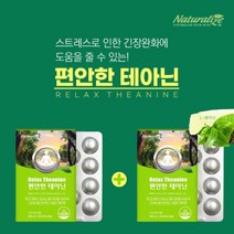 시댁스트레스 가슴답답한증상 가슴두근거림 불안한 마음 불안증상 긴장완화 테아닌 홧병 울화 시댁 스트레스 불안장애 가슴 감정 기복 다혈질 충동 릴렉스 편안한 상태 에 좋은 긴장 불안감, 1+1(2개월분), 0.8g, 2개