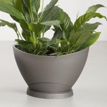 [r94ir]국산 플라스틱 호접서양난 화분(소)타원형화분 거실화분 실내식물 베란다화분 스파티필름 관엽식물화분, 달콤◁메탈브라운▷™