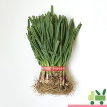 사라상회 풋마늘 (6단) 9kg, 1박스